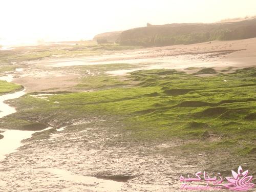 عکـــــــــــــــــس های گرفته شده در سفـــــــر